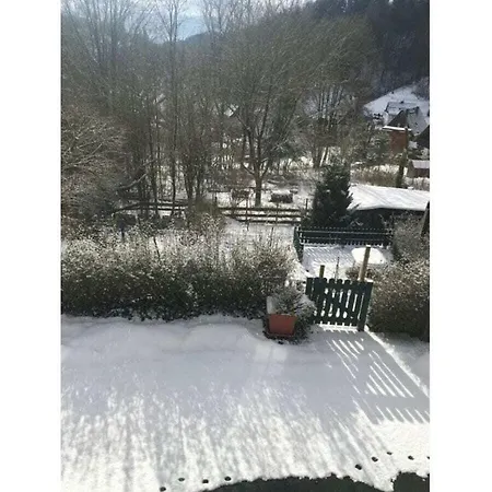 Haus Felisi Comfortable Holiday home Bad Grund